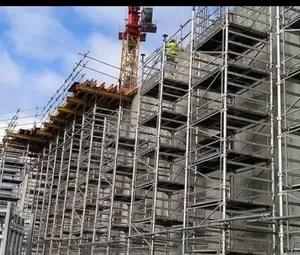 Original Scaffolding Pipes