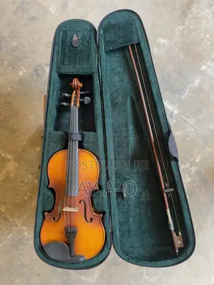 D’Lark Violin – Designed in the Usa
