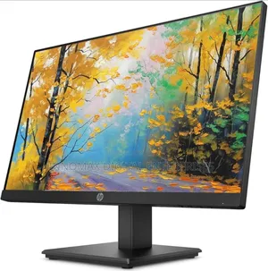 Hp P244 Ips Full Hd (1920 X 1080)Frameless Led Hdmi Monitor