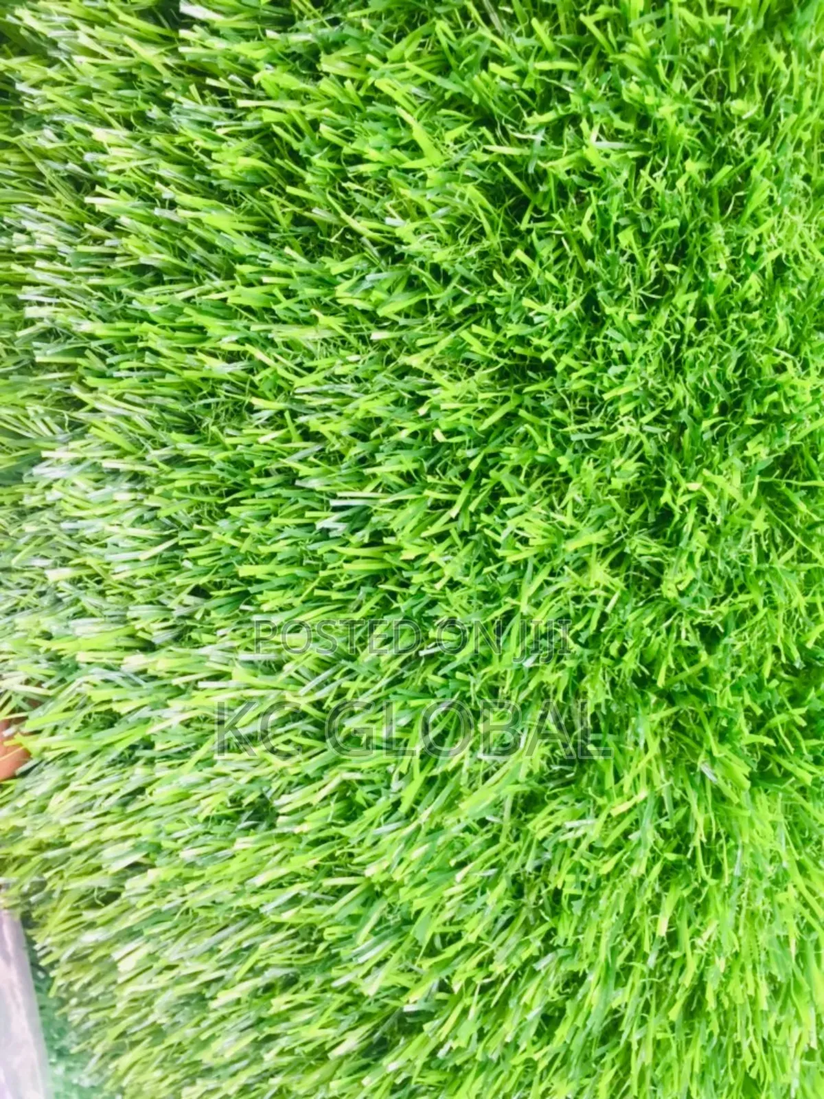 Artificial Grass