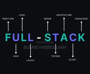 Website Developer