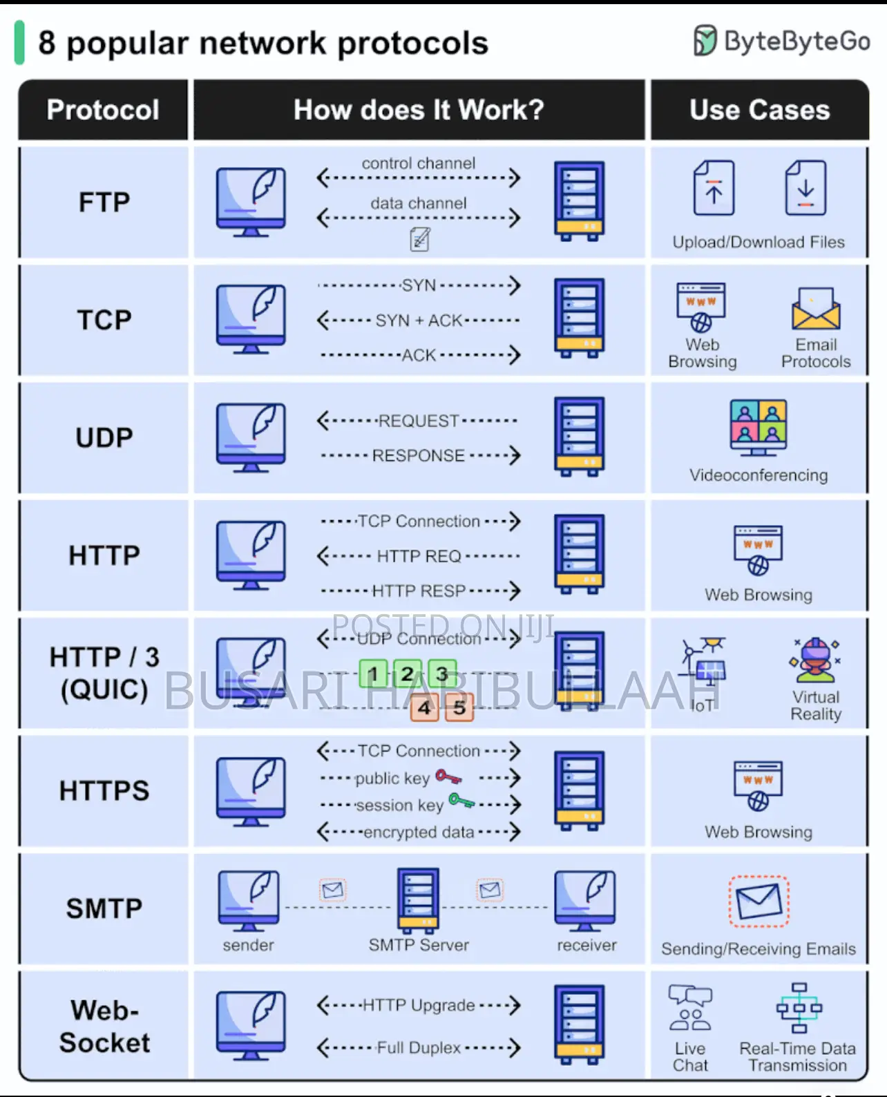 Website Developer