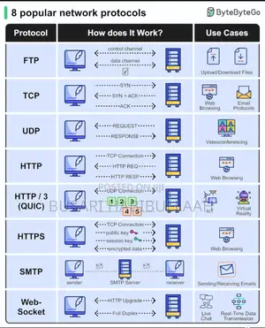 Website Developer