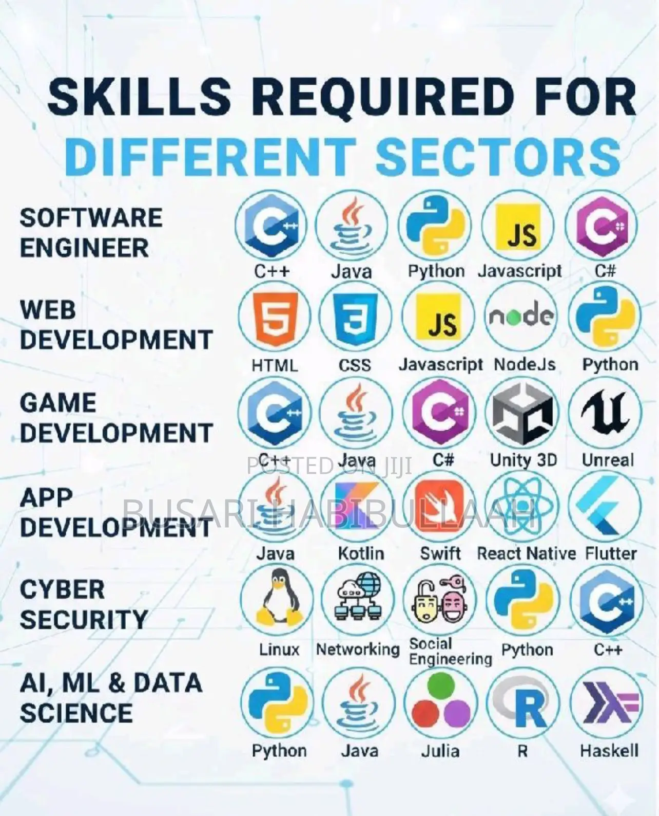 Website Developer
