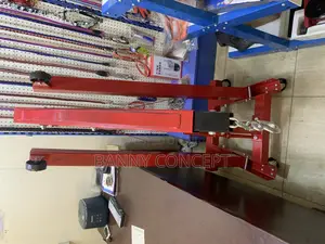 Foldable, Hydraulic Engine Crane