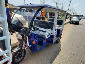 New Tricycle 2025 Blue