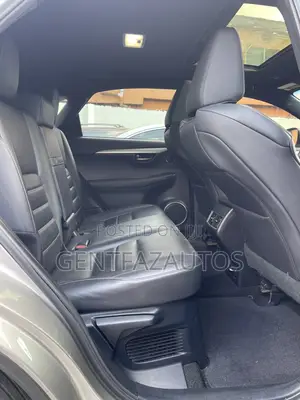 Lexus NX 300 AWD 2019 Gray