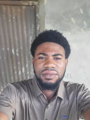 Mr Micheal Oluwaseun Omoyeni