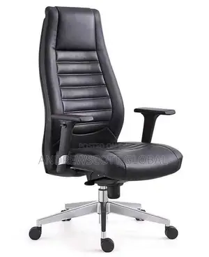 Brand New Imported Executive Office Chair