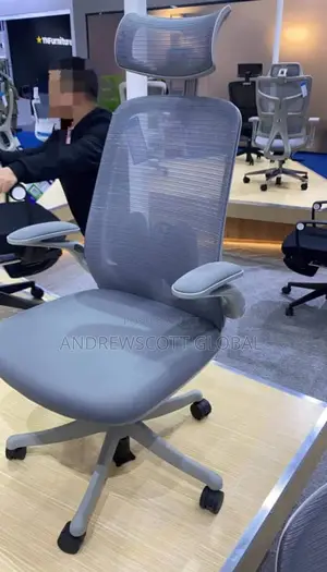 Brand New Imported Ergonomic Chair