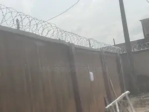 Galvanize Anti Rust Razor Wire Get the Best