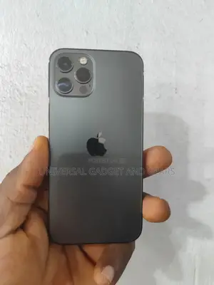 Apple iPhone 12 Pro 256 GB Gray
