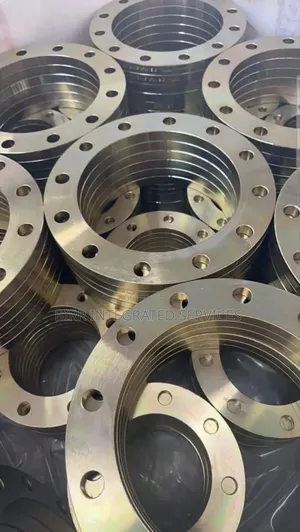 Flanges And Valves