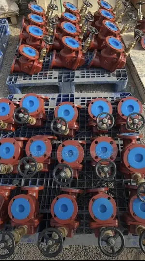 Flanges And Valves