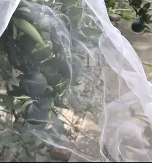 Greenhouse Insect Net 2m * 100m ( 60 Mesh )