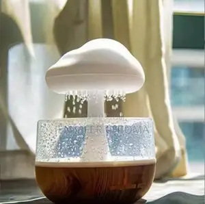 Raindrop Humidifier