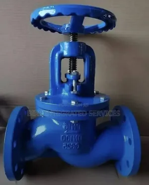 Flanges And Valves