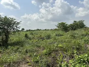 Agric Land Is Available