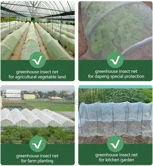 Uv Anti Insect Net Mesh for Agriculture Greenhouse