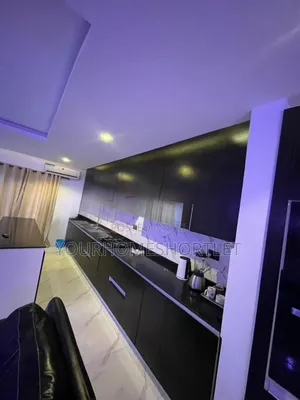 Spacious 2 Bedroom Apartment for Daily, Weekly, Monthly Deal.