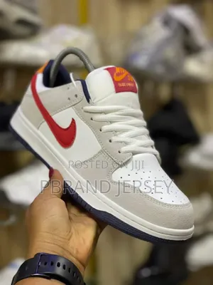 Nike Sb Dunk Low Sneakers