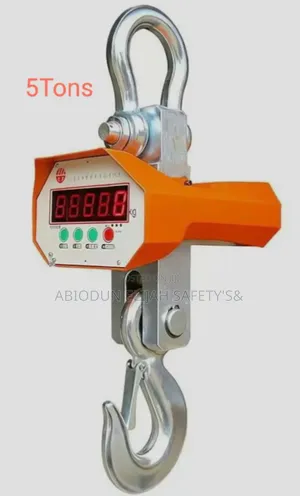 Original Quality Heavy Duty Lifting and Scale Digital Machine 5tons