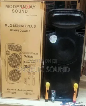 Modern Day Public Address System