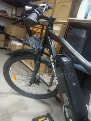Sam Adult Electric Bicycle With Helmet