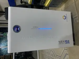 Lvtopsun Lithium Ion Battery