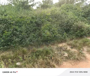 An Acre of Farmland for Sale
