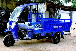 New Tricycle 2025 Blue