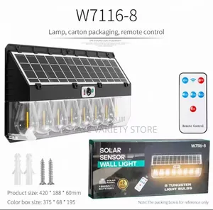 High Tech Solar Induction Wall Bulb Lamp for Home/Balcony (8)Bulb