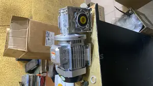 Electric Gear Motor