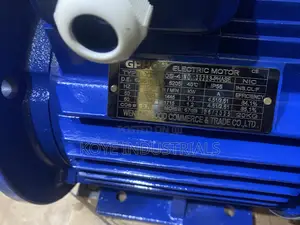 Electric Motor