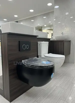 Luxury Black Conceal Water Closet High Quality 002