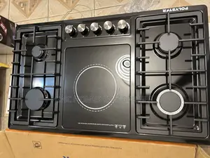 Black Stainless Steel 4-1 Electric And Gas Burner