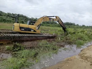 Swamp Boggy, Excavator  Rental