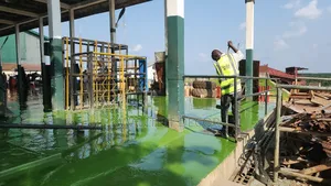 Fiercely Industrial Epoxy Flooring Floor