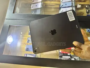 Apple iPad Pro 11 (2024) 256 GB Gray