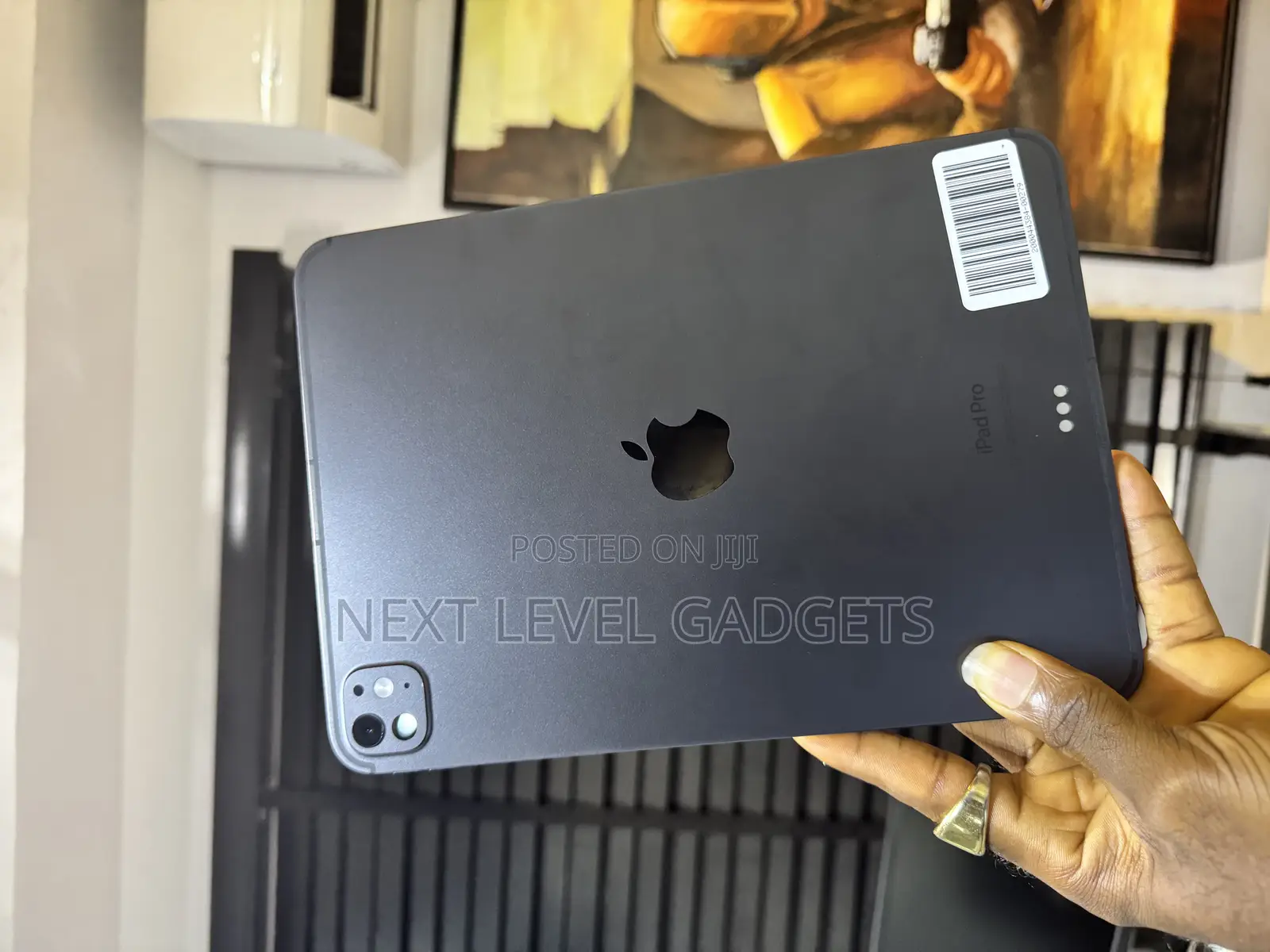 Apple iPad Pro 11 (2024) 256 GB Gray