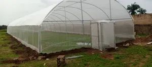 Solarig Greenlouse Cover 1800/SQM