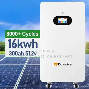 16kwh Wall-Mounted Battery for Home Energy Storage