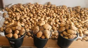 Fresh Irish Potatoes