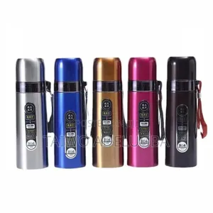 500ml Insulated Stainless Steel Flask