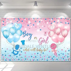 Gender Reveal Backdrop 7ft X 5ft