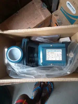 2hp Capenda Surface Pump