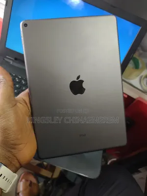 Apple iPad 10.2 (2019) 256 GB Gray