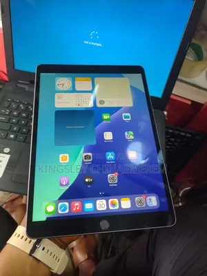 Apple iPad 10.2 (2019) 256 GB Gray