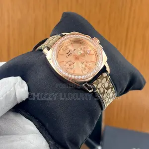 Coach Quality Luxury Ladies Chain Strap Wristwatch