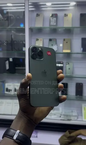 Apple iPhone 13 Pro Max 256 GB Green